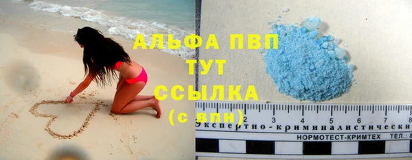 эйфоретик Алзамай