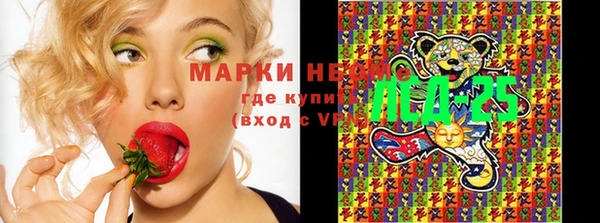эйфоретик Алзамай
