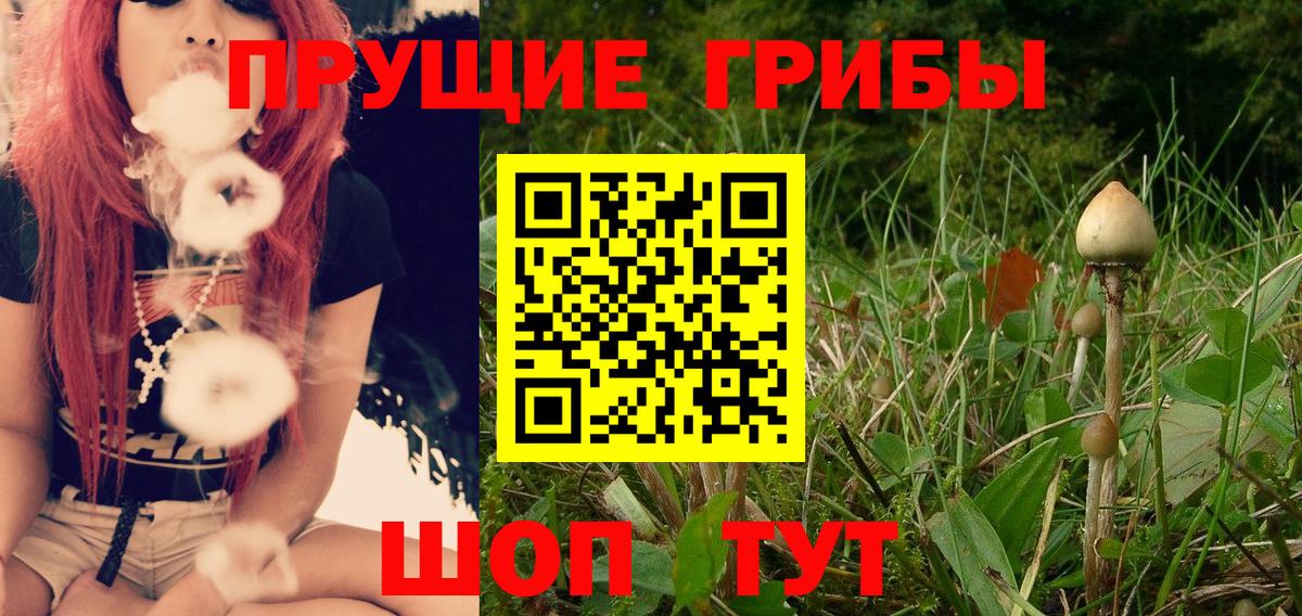 Псилоцибиновые грибы Cubensis Узловая