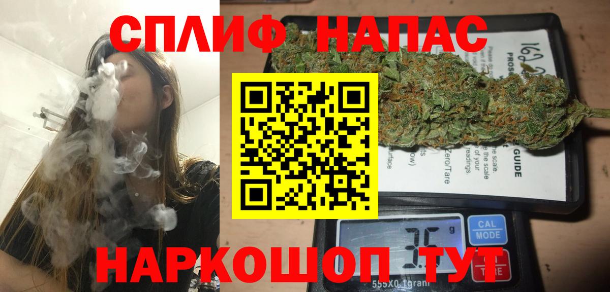 МАРИХУАНА конопля Узловая